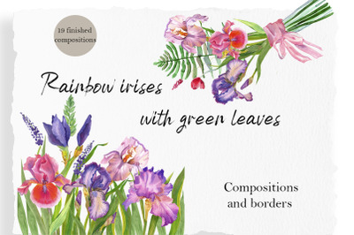 Iris watercolor Clipart, floral bouquet