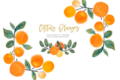 Orange Clip Art&2C; Oranges Clipart&2C; Fruits Floral Border&2C;