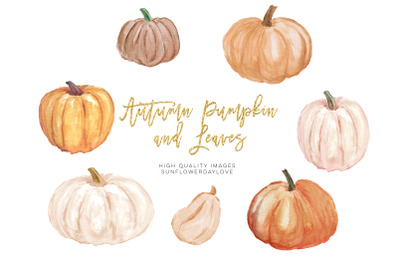 Autumn Pumpkin clipart, Autumn Watercolor Clipart