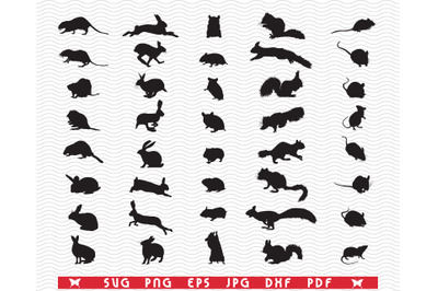 SVG Rodents, Black silhouettes, Digital clipart