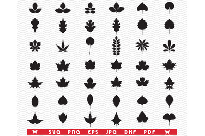 SVG Foliage, Black silhouettes, Digital clipart