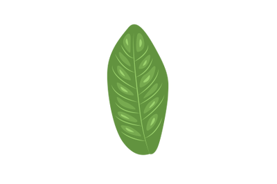 Hantap Leaf