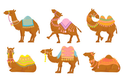 Cartoon camel. Funny desert animals with saddle. Camels vector isolate