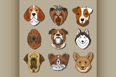 Vector illustration of different dogs breed