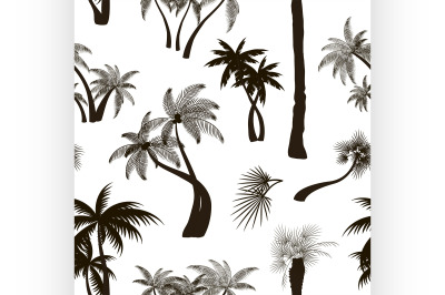 Palm collection pattern