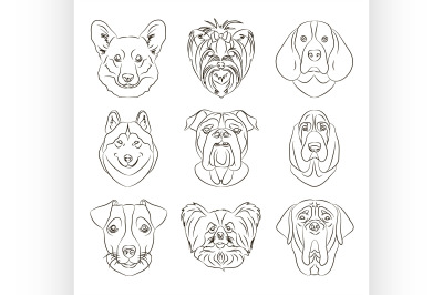 Vector illustration of different dogs breed