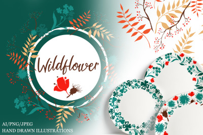 Wildflower Illustrations