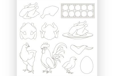 Chicken icons set