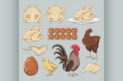 Chicken icons set