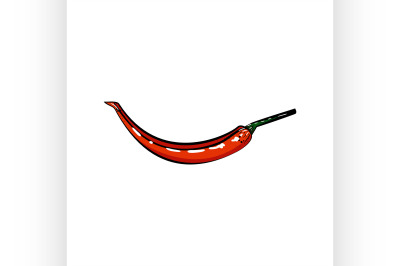 Color Sketch hot peppers