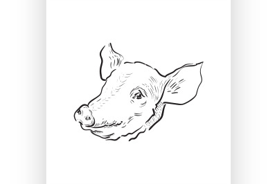 Sketch pig icon