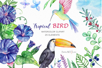 Watercolor hummingbird and toucan clipart, flowers clipart