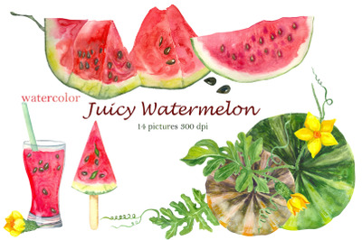 Watercolor pink watermelon slice clipart