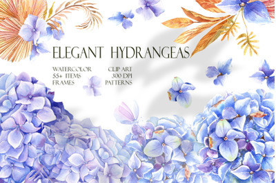 Elegant Hydrangeas