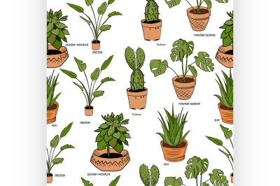 Color houseplants Vector pattern