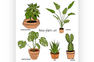 Color houseplants Vector set