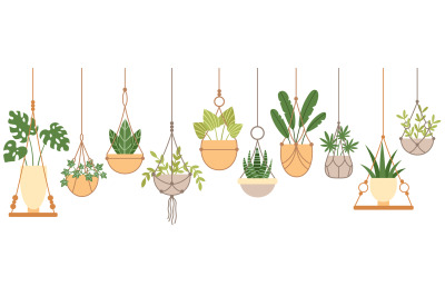 Plants in hanging pots set, vector illustration