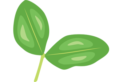 Pea Leaf