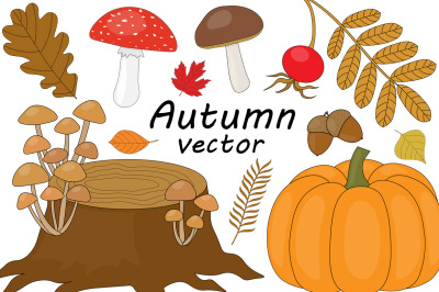 Set Autumn vector illustration