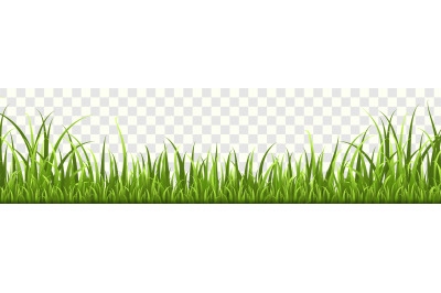 Grass border. Panorama of natural lawn or meadow in garden, isolated v