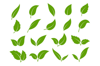 Leaf icon. Green leaves of trees and plants, various shapes. Eco vegan