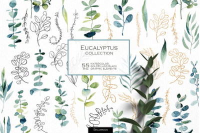 Eucalyptus collection