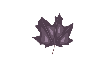 Crimson King Leaf