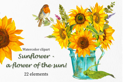 Sunflower - a flower of the sun&21; Watercolor clipart