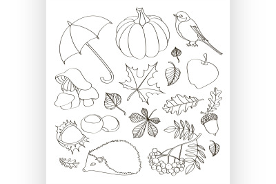 Set of autumn symbols