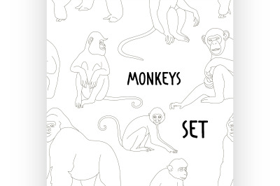 Different types of monkeys pattern