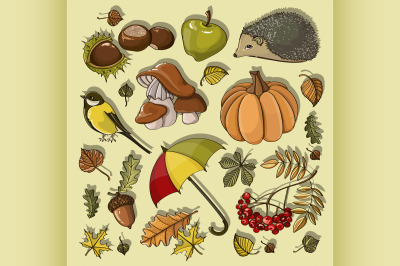 Set of autumn symbols