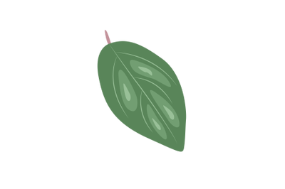 Tea Crabapple Leaf