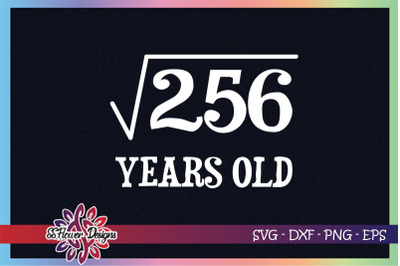 Funny math square root 256 birthday svg, 16 years old svg