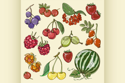 Set of different berries