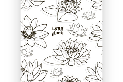 Set of lotus flowers pattern