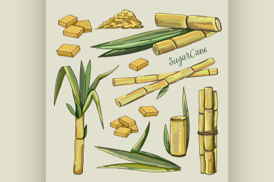 Sugar cane icons