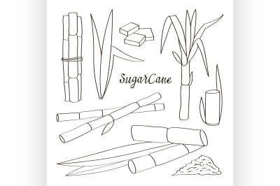 Sugar cane icons