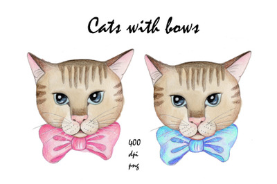 Cats with bows. Watercolor illustrations.