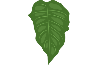 Brugmansia Leaf