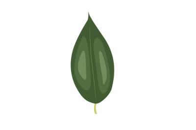 Yoshino Cherry Leaf