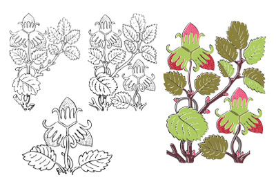 Botanical hand drawn strawberry bush isolated. Hand drawn