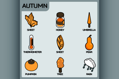 Autumn color outline isometric icons