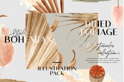 Bohemian Dried Foliage Illustration Pack