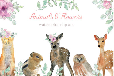Animals and Flowers