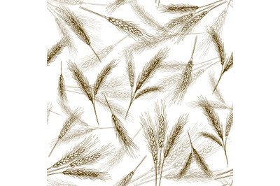 Seamless wheat ear pattern. Sketch breads grains, hand drawn bakery ea