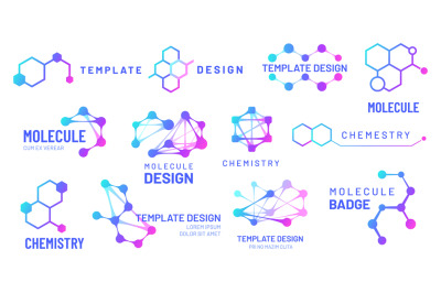 Molecule logos. Chemistry and science logotype with hexagonal structur