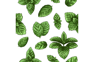 Mint seamless pattern. Green peppermint leaves, spearmint healing herb