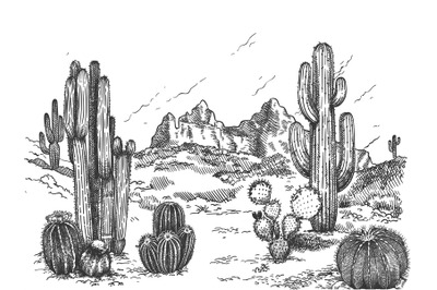 Desert landscape. Hand drawn mexican prairie with plants and blooming