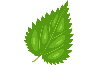 Nettle Leaf