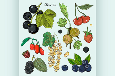 Berries icons set